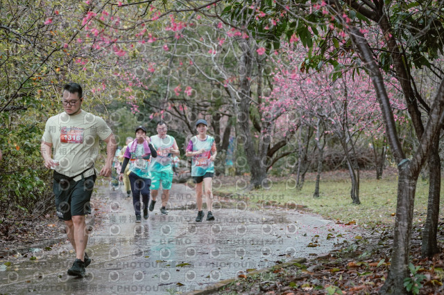 2026左岸竹東櫻花馬拉松Zhudong Sakura Marathon