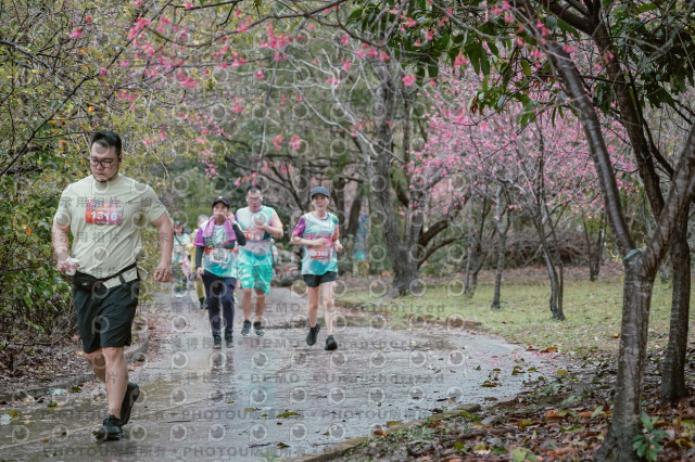 2026左岸竹東櫻花馬拉松Zhudong Sakura Marathon