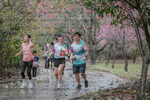 2026左岸竹東櫻花馬拉松Zhudong Sakura Marathon