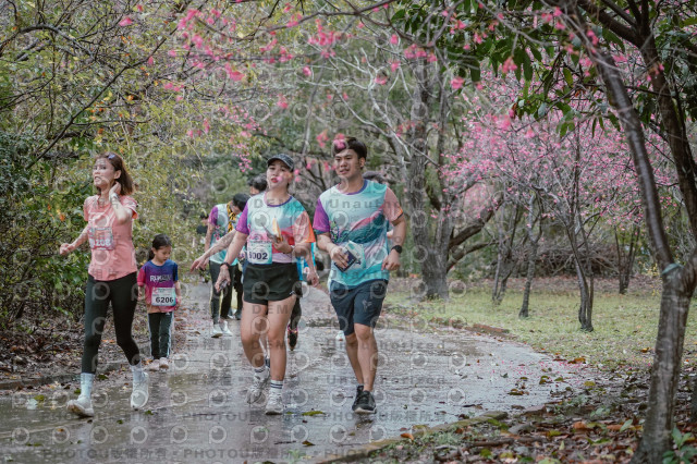 2026左岸竹東櫻花馬拉松Zhudong Sakura Marathon