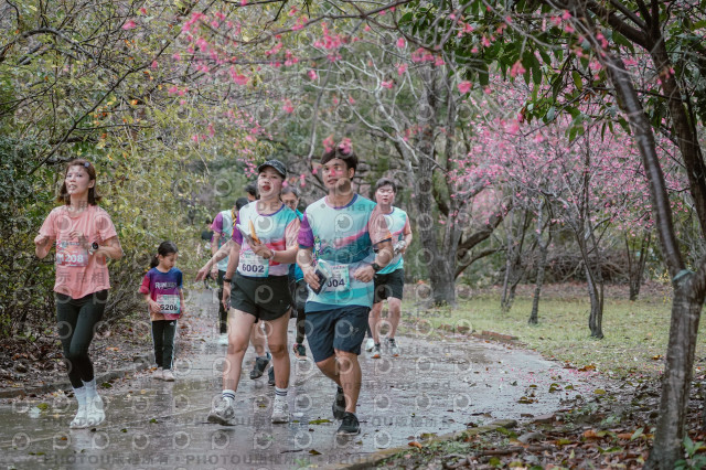 2026左岸竹東櫻花馬拉松Zhudong Sakura Marathon