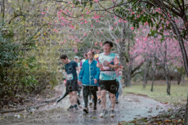 2026左岸竹東櫻花馬拉松Zhudong Sakura Marathon