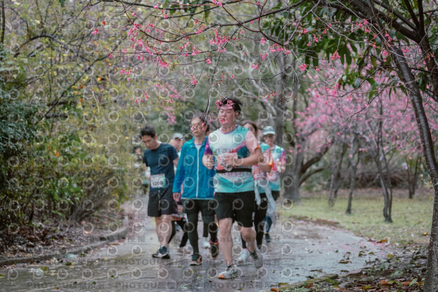 2026左岸竹東櫻花馬拉松Zhudong Sakura Marathon