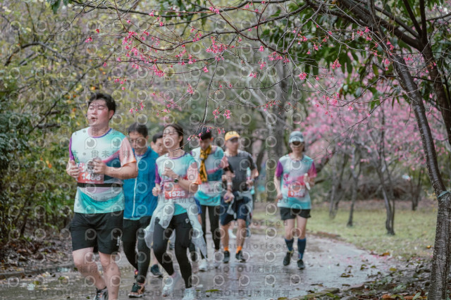 2026左岸竹東櫻花馬拉松Zhudong Sakura Marathon