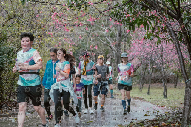 2026左岸竹東櫻花馬拉松Zhudong Sakura Marathon