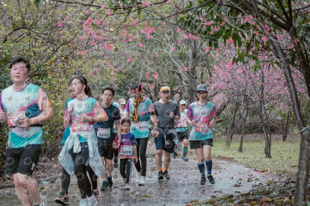 2026左岸竹東櫻花馬拉松Zhudong Sakura Marathon