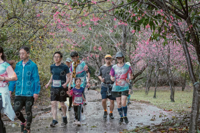 2026左岸竹東櫻花馬拉松Zhudong Sakura Marathon
