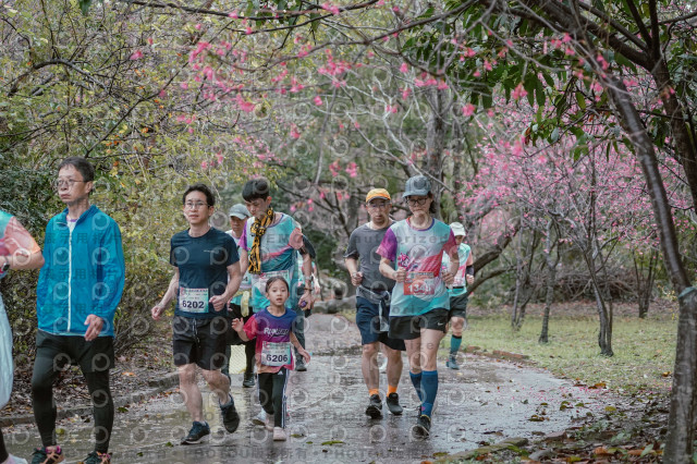 2026左岸竹東櫻花馬拉松Zhudong Sakura Marathon