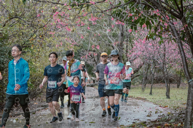 2026左岸竹東櫻花馬拉松Zhudong Sakura Marathon
