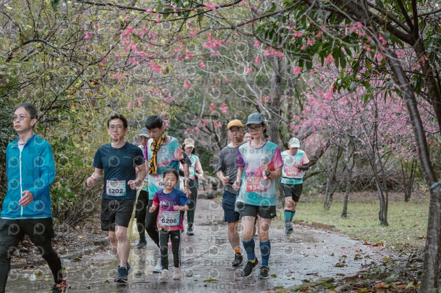 2026左岸竹東櫻花馬拉松Zhudong Sakura Marathon