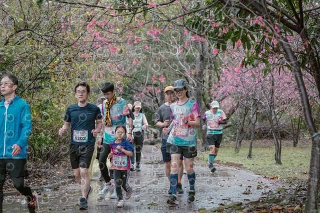 2026左岸竹東櫻花馬拉松Zhudong Sakura Marathon