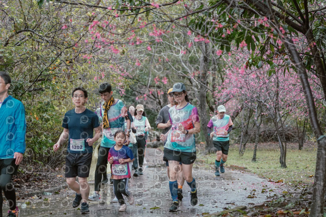 2026左岸竹東櫻花馬拉松Zhudong Sakura Marathon