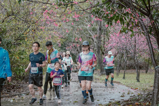 2026左岸竹東櫻花馬拉松Zhudong Sakura Marathon
