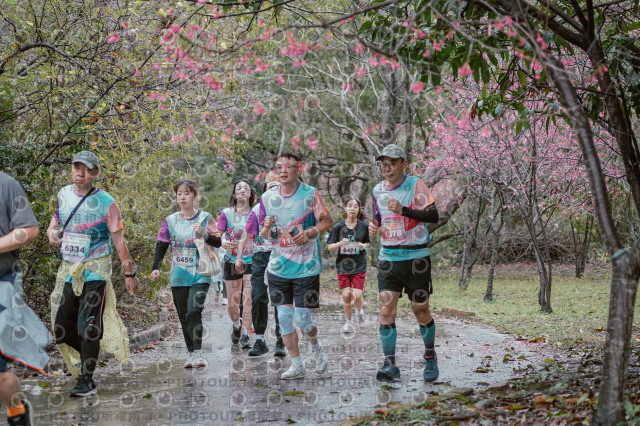 2026左岸竹東櫻花馬拉松Zhudong Sakura Marathon