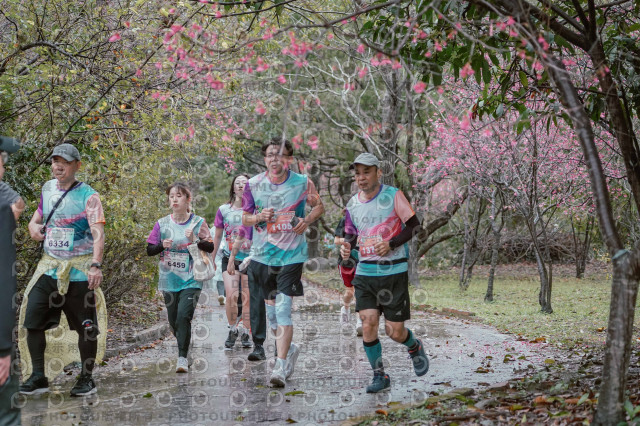 2026左岸竹東櫻花馬拉松Zhudong Sakura Marathon