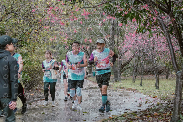 2026左岸竹東櫻花馬拉松Zhudong Sakura Marathon