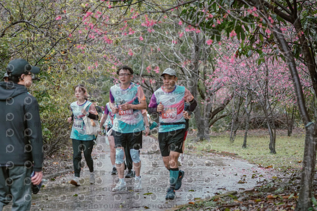 2026左岸竹東櫻花馬拉松Zhudong Sakura Marathon