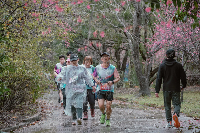 2026左岸竹東櫻花馬拉松Zhudong Sakura Marathon