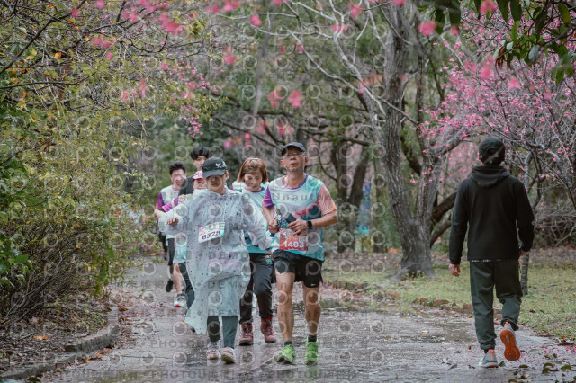 2026左岸竹東櫻花馬拉松Zhudong Sakura Marathon