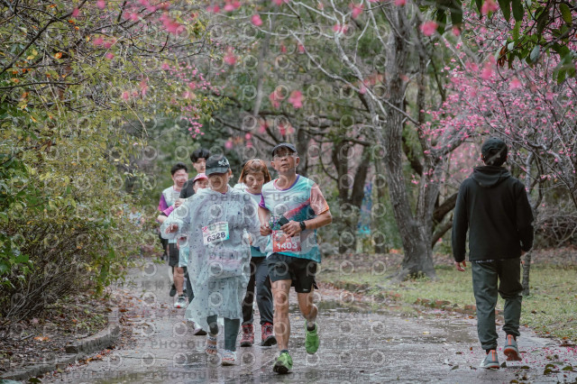 2026左岸竹東櫻花馬拉松Zhudong Sakura Marathon