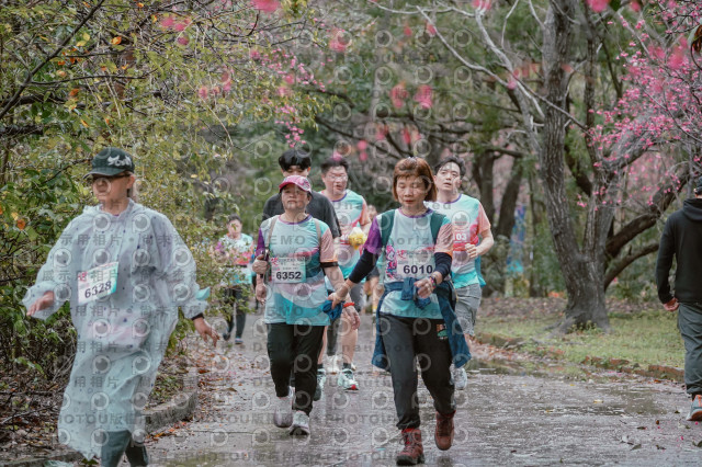 2026左岸竹東櫻花馬拉松Zhudong Sakura Marathon