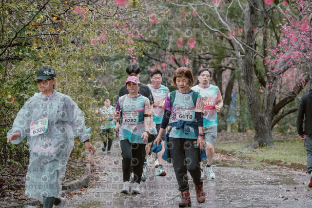 2026左岸竹東櫻花馬拉松Zhudong Sakura Marathon