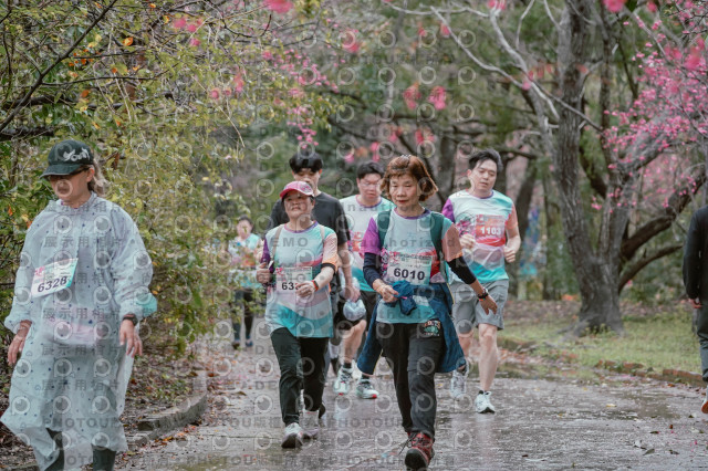 2026左岸竹東櫻花馬拉松Zhudong Sakura Marathon