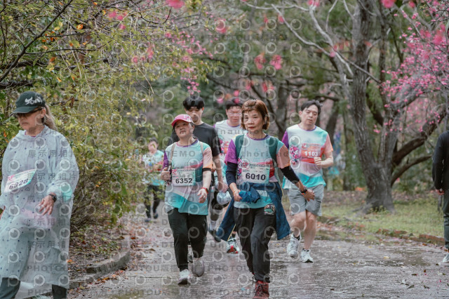 2026左岸竹東櫻花馬拉松Zhudong Sakura Marathon