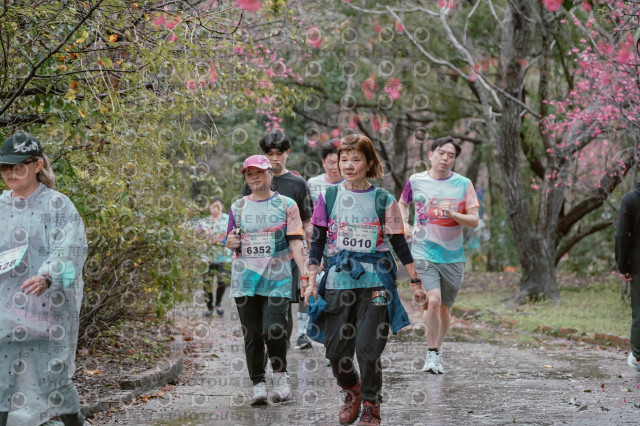 2026左岸竹東櫻花馬拉松Zhudong Sakura Marathon