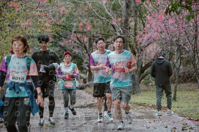 2026左岸竹東櫻花馬拉松Zhudong Sakura Marathon