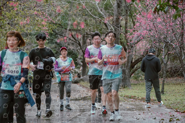 2026左岸竹東櫻花馬拉松Zhudong Sakura Marathon