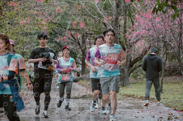 2026左岸竹東櫻花馬拉松Zhudong Sakura Marathon