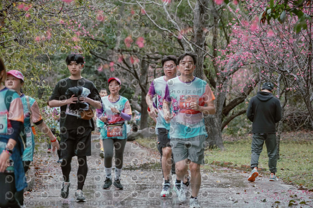 2026左岸竹東櫻花馬拉松Zhudong Sakura Marathon