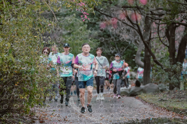 2026左岸竹東櫻花馬拉松Zhudong Sakura Marathon