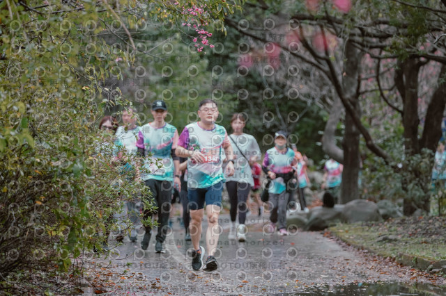 2026左岸竹東櫻花馬拉松Zhudong Sakura Marathon