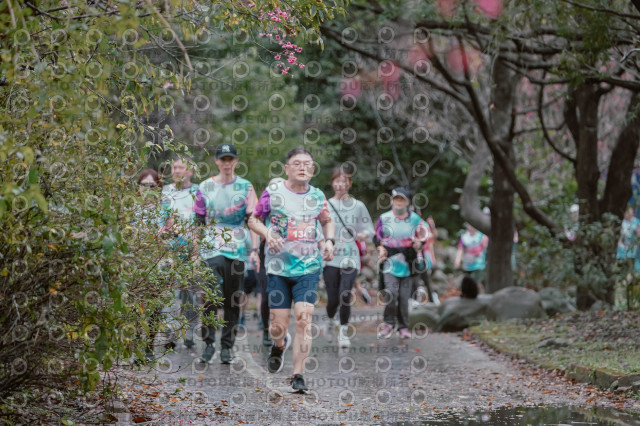 2026左岸竹東櫻花馬拉松Zhudong Sakura Marathon