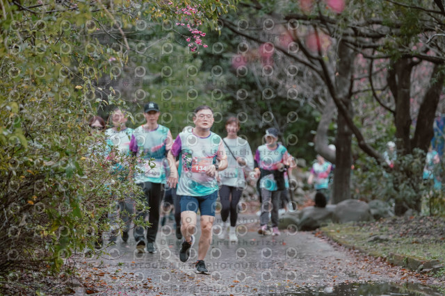 2026左岸竹東櫻花馬拉松Zhudong Sakura Marathon