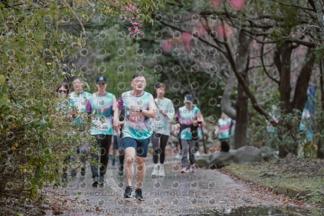 2026左岸竹東櫻花馬拉松Zhudong Sakura Marathon