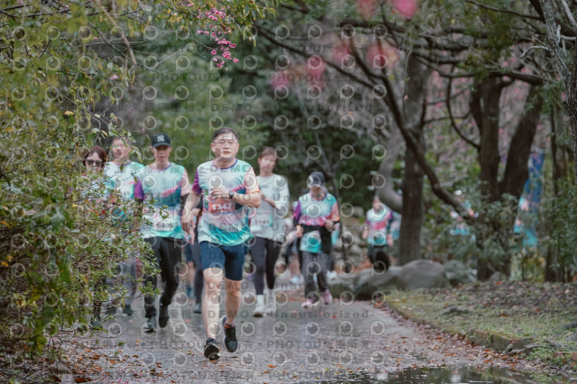 2026左岸竹東櫻花馬拉松Zhudong Sakura Marathon