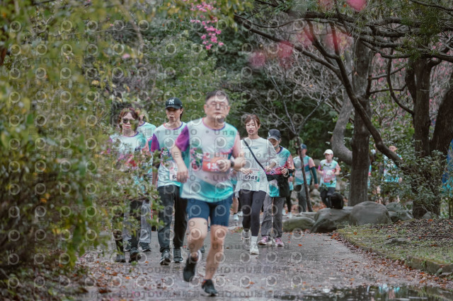 2026左岸竹東櫻花馬拉松Zhudong Sakura Marathon