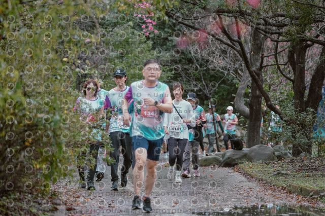 2026左岸竹東櫻花馬拉松Zhudong Sakura Marathon