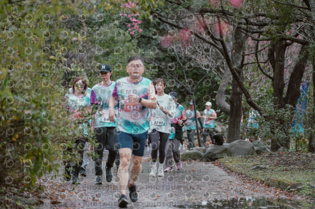 2026左岸竹東櫻花馬拉松Zhudong Sakura Marathon
