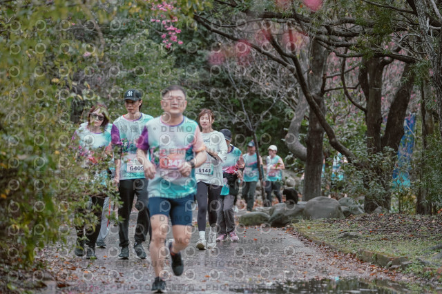2026左岸竹東櫻花馬拉松Zhudong Sakura Marathon