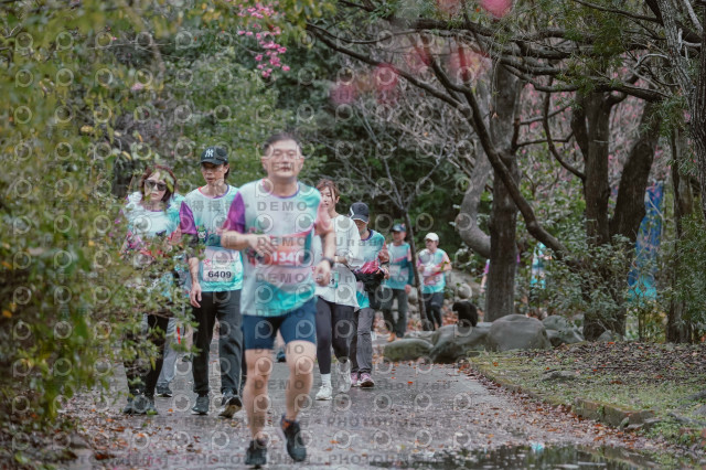 2026左岸竹東櫻花馬拉松Zhudong Sakura Marathon