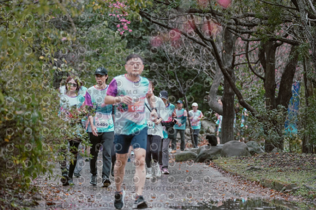 2026左岸竹東櫻花馬拉松Zhudong Sakura Marathon