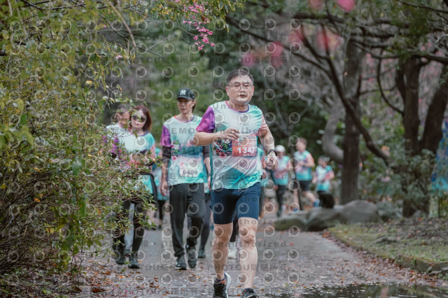 2026左岸竹東櫻花馬拉松Zhudong Sakura Marathon