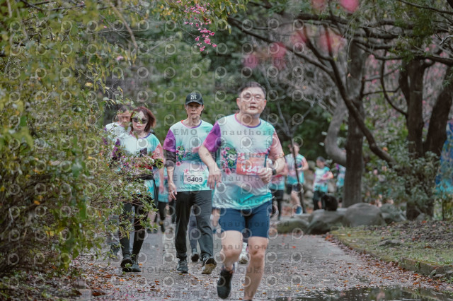 2026左岸竹東櫻花馬拉松Zhudong Sakura Marathon