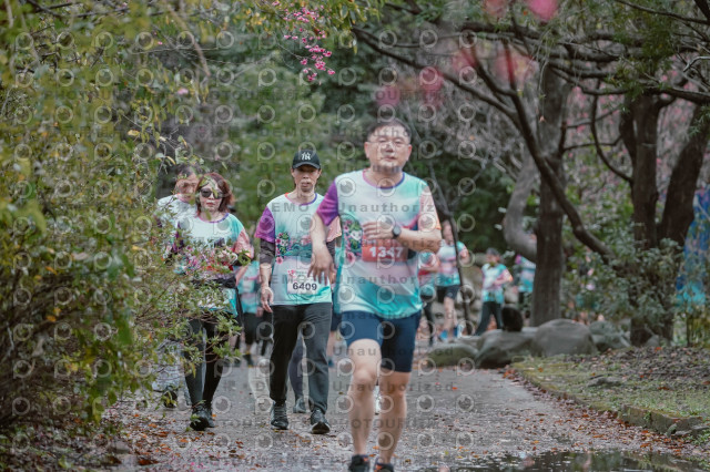 2026左岸竹東櫻花馬拉松Zhudong Sakura Marathon