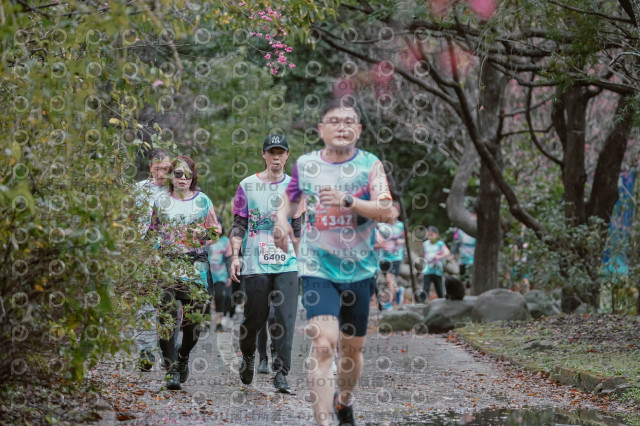 2026左岸竹東櫻花馬拉松Zhudong Sakura Marathon