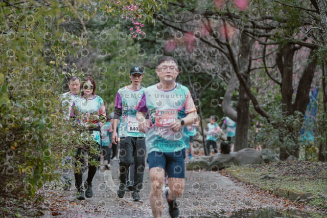2026左岸竹東櫻花馬拉松Zhudong Sakura Marathon